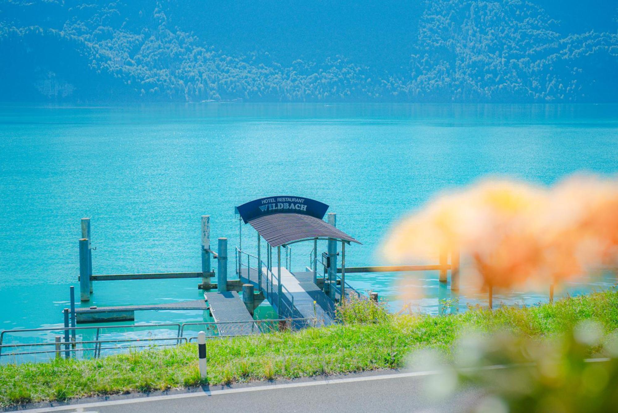 Hotel Wildbach Brienz Brienz  Exterior photo